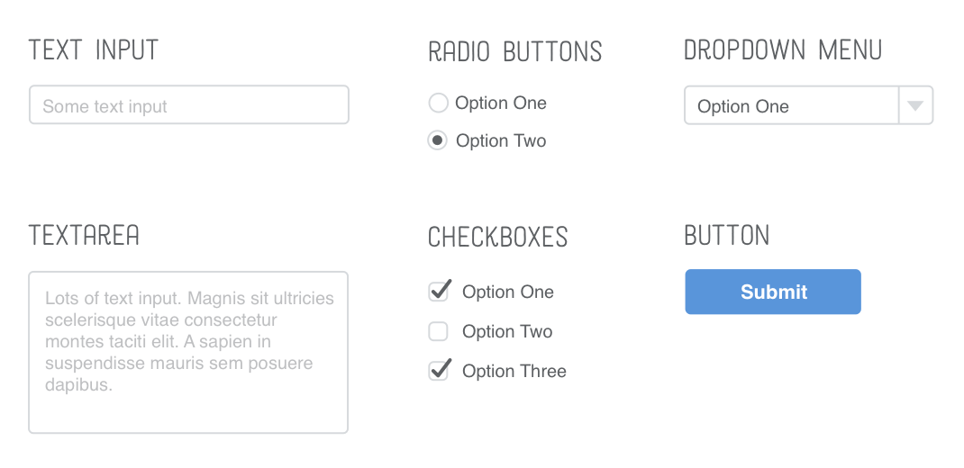 Examples of text inputs, textareas, radio buttons, checkboxes, and other HTML form elements